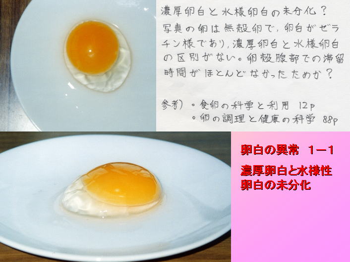 養鶏研修シリーズ（その2－1）」